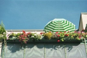 Balkonpflanzen brauchen besondere Pflege.