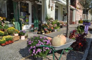 Ein Blumenladen ist oft die erste Anlaufstelle für Blumensträuße.